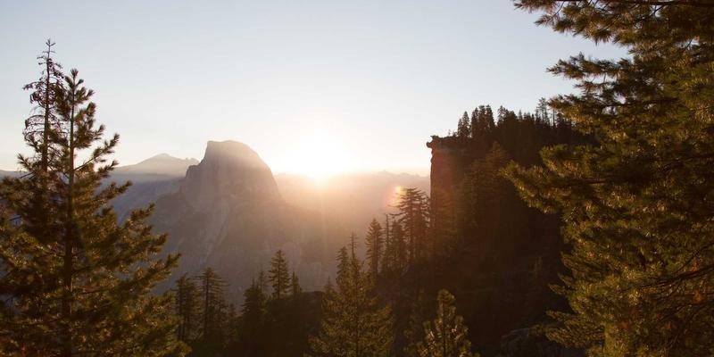 人参之外的天然卫士：揭秘西兰花、番茄等常见蔬菜中的植物化学物抗癌力量