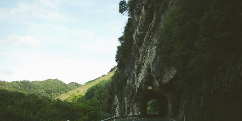 人参:千年滋补圣品的科学解读与现代应用指南