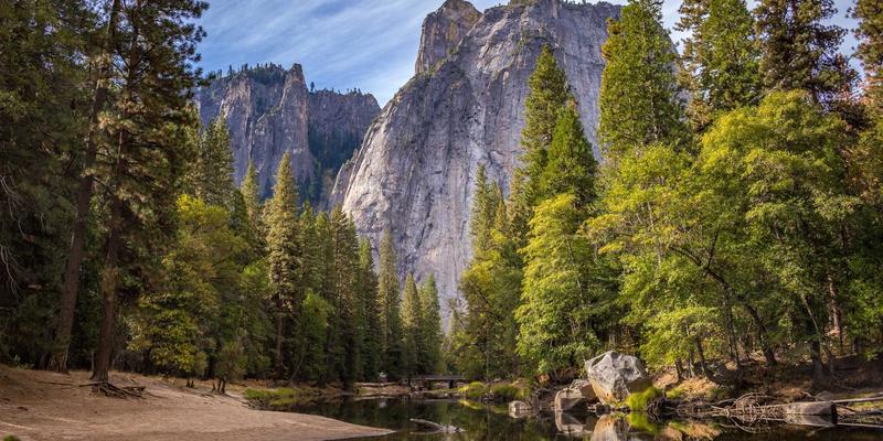 人参、燕窝与圣亨多：揭秘传统滋补品的养生智慧与现代应用