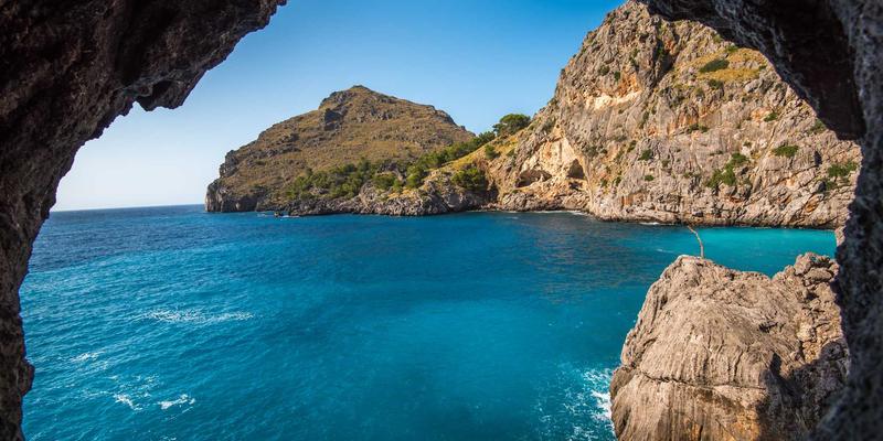 健康养生新选择:天然燕窝的千年智慧与现代价值