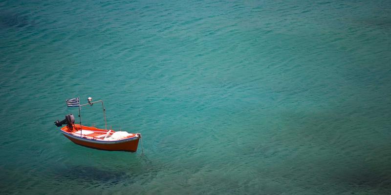 圣亨多健康养生指南：肝脏排毒与修复，水飞蓟与五味子等护肝食材深度解析