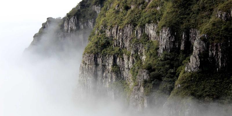 圣亨多:探索天然滋补品的养生智慧与现代价值