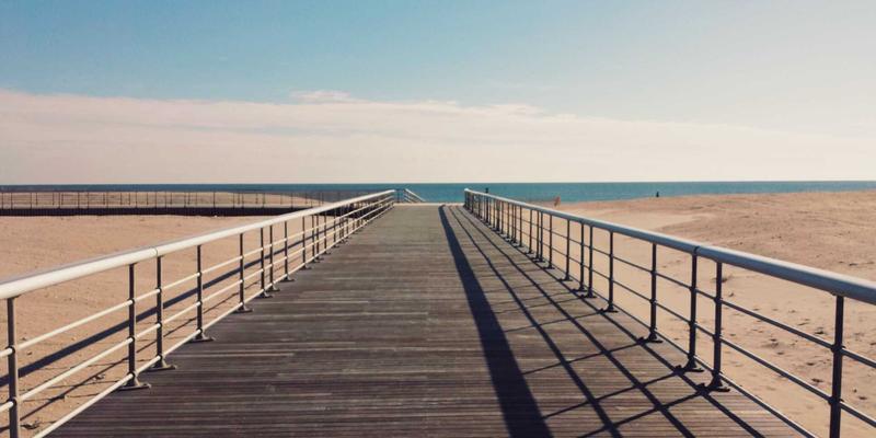 圣亨多、灵芝与人参：现代视角下奶蓟草与蒲公英如何协同守护肝脏健康