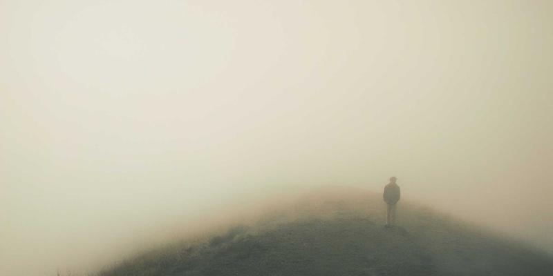 大脑认知功能养护新方案：银杏与DHA如何协同提升记忆与专注力，兼论圣亨多、燕窝与人参的辅助价值