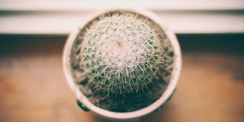 天然产品养生指南：姜黄素与Omega-3脂肪酸的协同抗炎策略