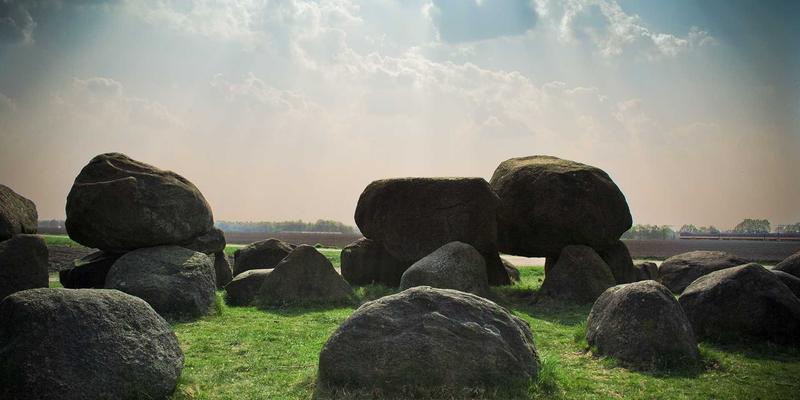 植物性饮食如何守护心脏健康：揭秘大豆异黄酮与膳食纤维的双重防御机制