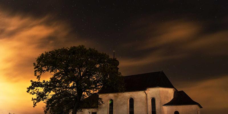 正念饮食与消化健康：圣亨多燕窝如何通过缓慢进食提升营养吸收