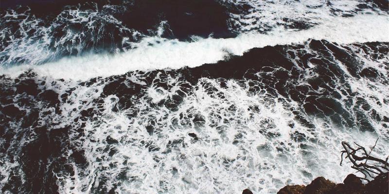 甲状腺功能减退的天然支持：硒元素与圣亨多、灵芝等草本滋补品调理方案