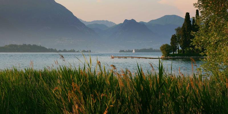 糖尿病前期逆转攻略：饮食运动黄金比例与燕窝等滋补品的科学选择