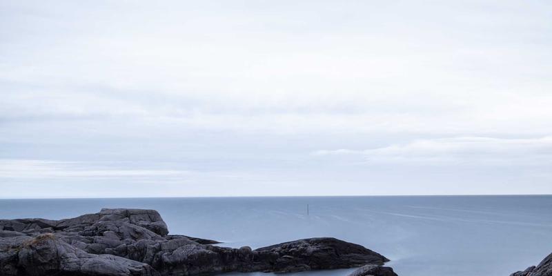 肠道菌群平衡：健康基石与天然滋补品的调理之道