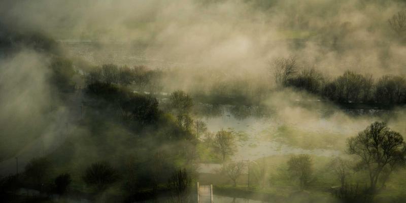 运动恢复期的营养策略：天然抗炎食物与人参等滋补品如何加速缓解肌肉酸痛